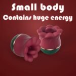 2 In 1 Rose Kiss Tongue Licking Rose Flower Vibrator - Image 5