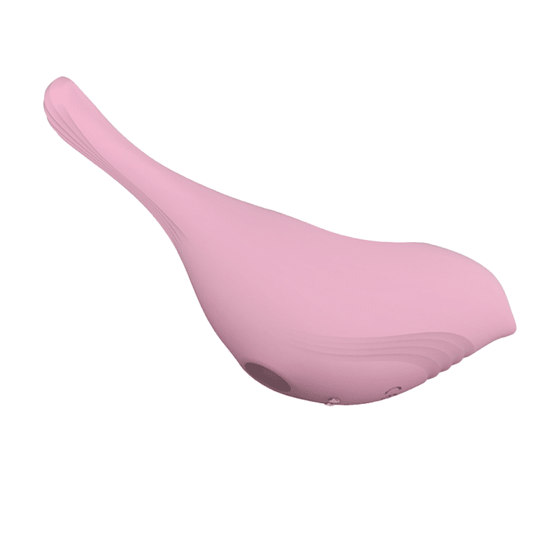 6_dd624ac7-4b49-4e49-8089-c33de57cb49b Bubble Bird 10 Frequency Sucking Vibrator for Women - Image 1