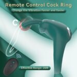 Lurevibe – Rabbit Vibrating Cock Ring Adult Sex Toys with Clitoral Vibrator - Image 6