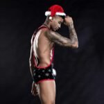 Lurevibe – Christmas Men’s Sexy Lingerie One-piece Christmas Costume For Male - Image 2